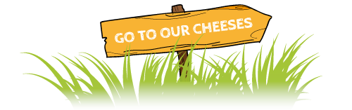 tothecheeses